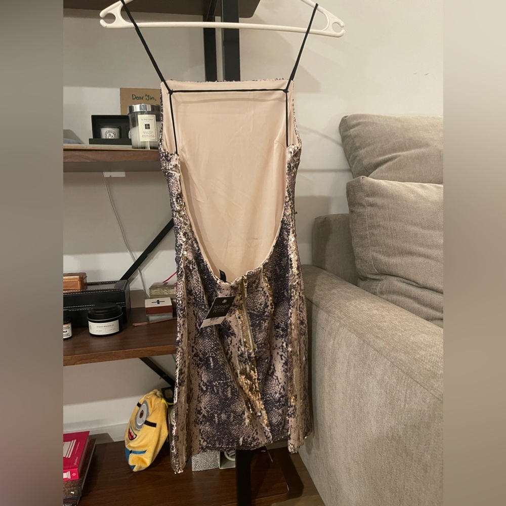 Little bodycon dress from Topshop (size: XS)